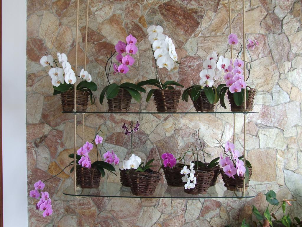 Pousada Lua E Mar Ilheus Ngoại thất bức ảnh